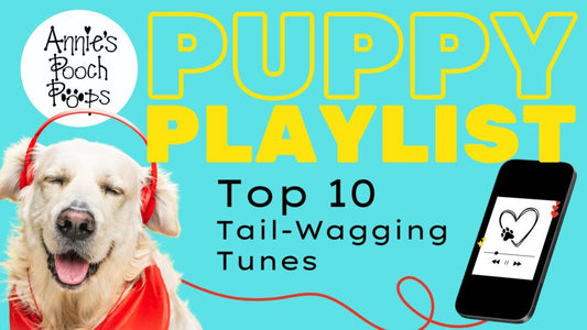 Turn Up the Volume: Top 10 Songs for Dog Lovers