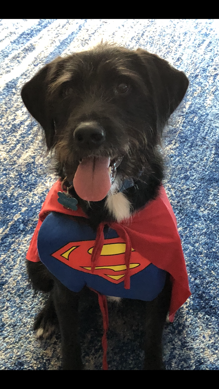 Happy Halloween – 2020!