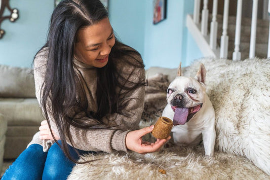 5 Reasons Why Human-Grade Dog Treats are the Best!
