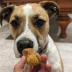 Annie’s Peanut Butter Cannolis