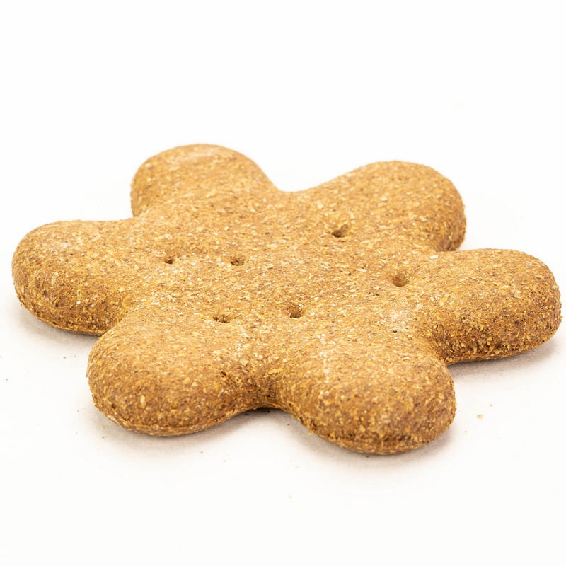 Molasses Biscuit