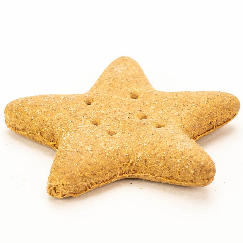 Honey Biscuit