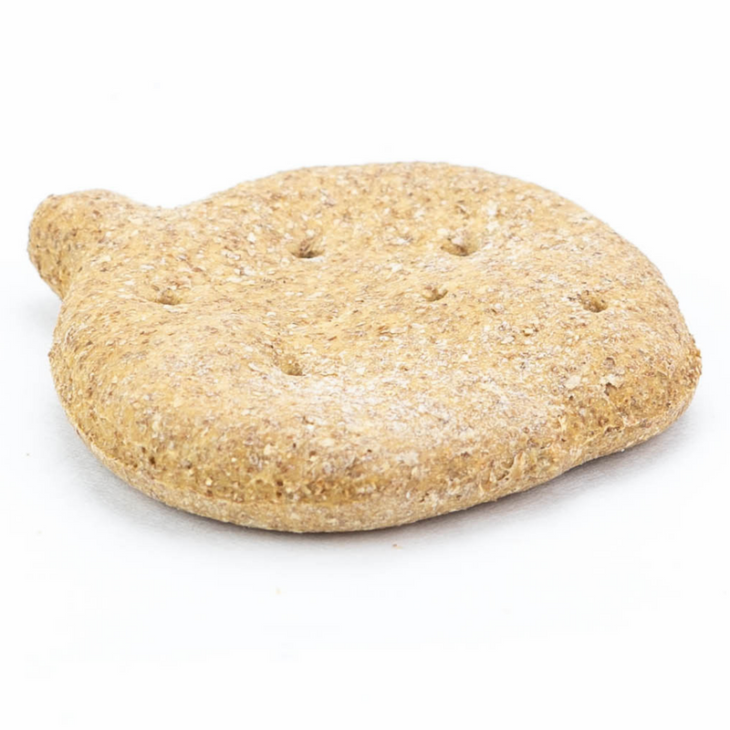 Large Pumpkin Biscuit