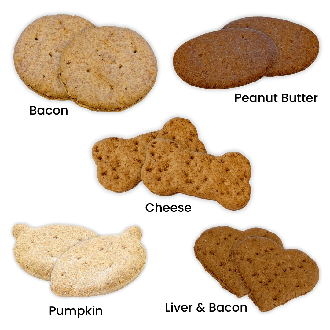 Small Biscuit Snack Pack (10 Biscuits)