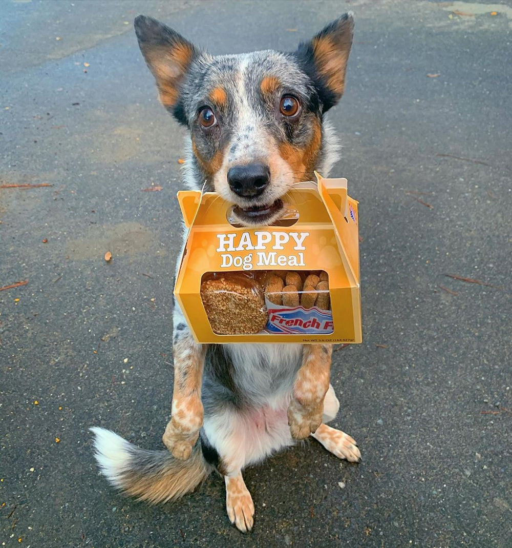 Happy Dog Meal