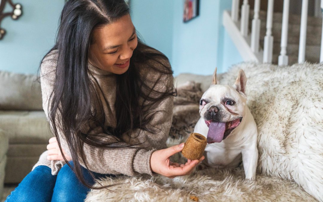 5 Reasons Why Human-Grade Dog Treats are the Best!