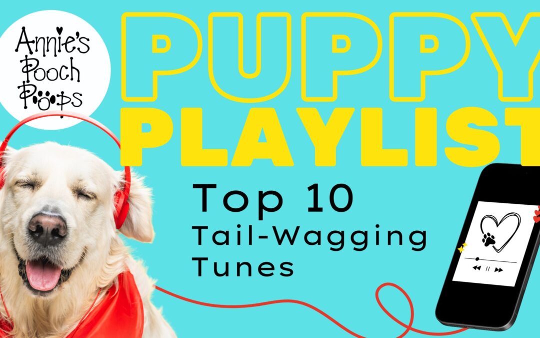 Turn Up the Volume: Top 10 Songs for Dog Lovers