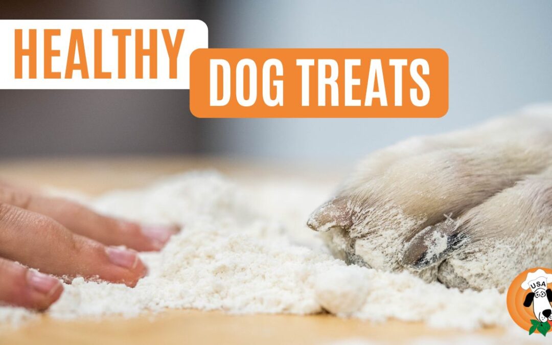 The Essential Benefits of Healthy Dog Treats